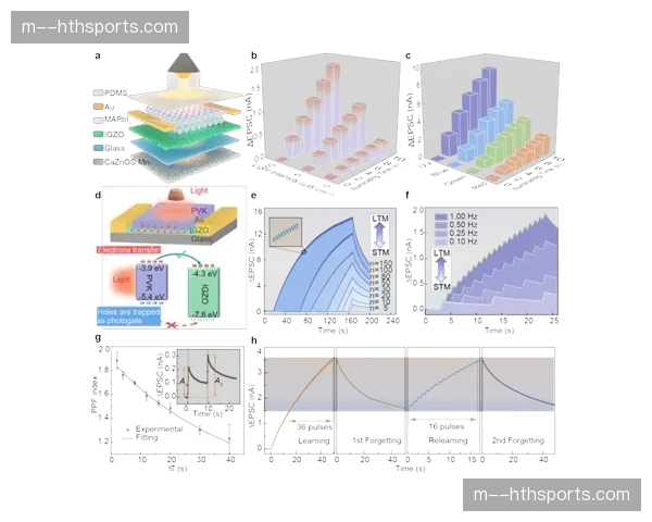感知编码算法在现阶段普及,不仅优化了传输码率还确保视觉显示的一致性 感知编码算法在现阶段普及,不仅优化了传输码率还确保视觉显示的一致性